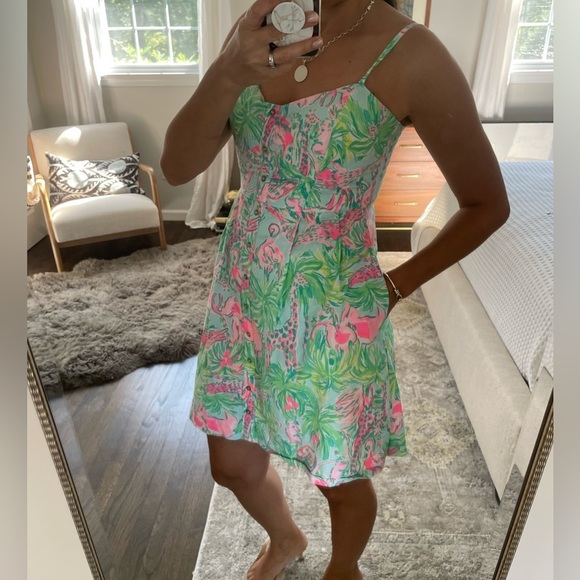 Lilly Pulitzer Pink and Green Easton Dress - Picture 2 of 15